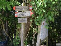 2026-06-30 Il Monte Conero 073